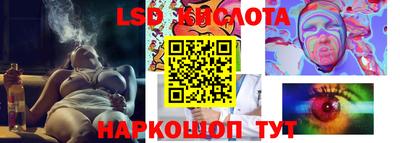 прущие грибы Гатчина