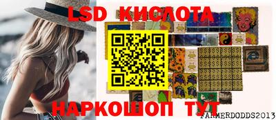 спиды Гай