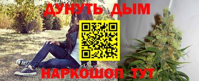 спиды Гай