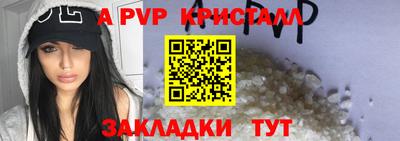 прущие грибы Гатчина