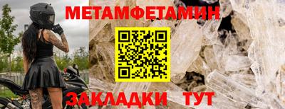 прущие грибы Гатчина