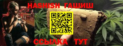 спиды Гай