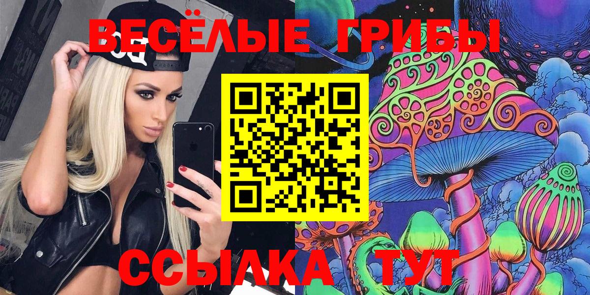 Галлюциногенные грибы ЛСД  Галлюциногенные грибы ЛСД  Самара  Вход с VPN 